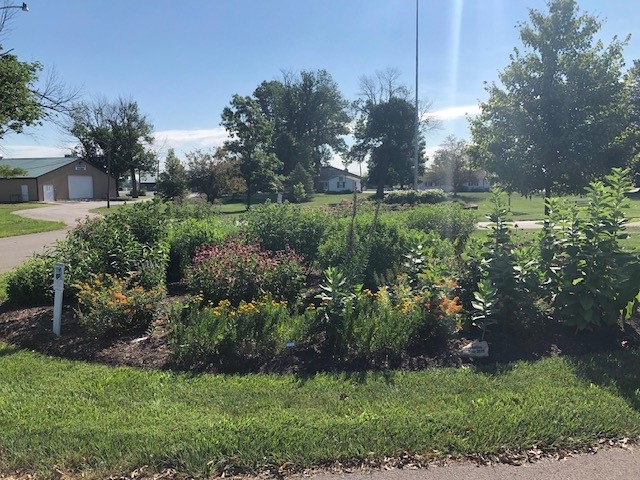 Pollinator Garden